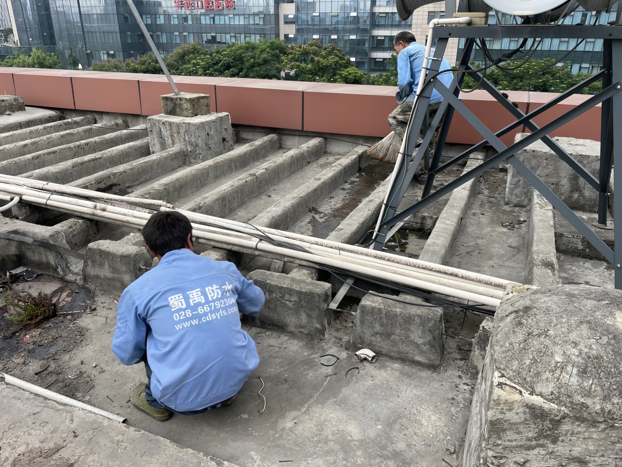 1654307216488536.jpg 1654307216488536.jpg