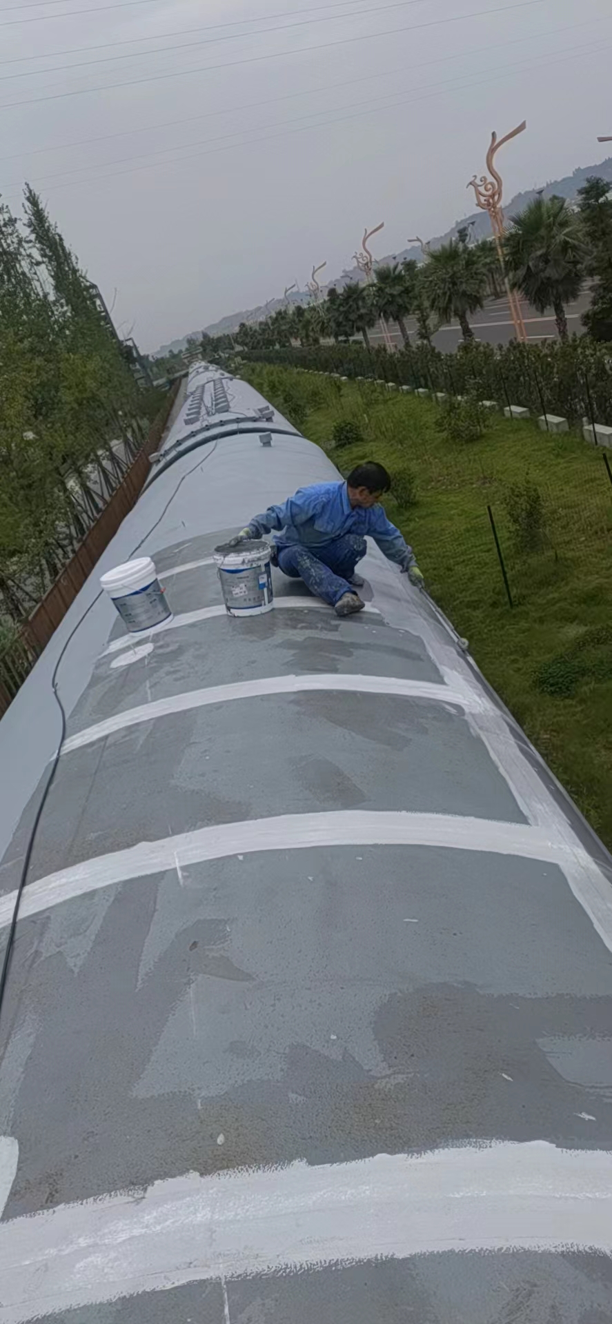 1658757099203466.jpg 1658757099203466.jpg